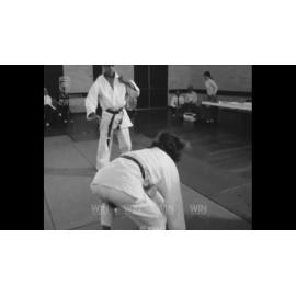 Judo Demo