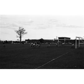 Campus sport.  n2a_20_19