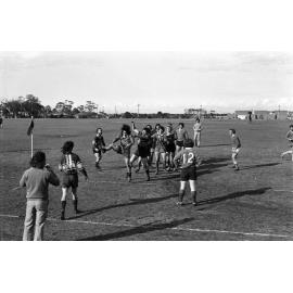 Campus sport.  n2a_20_05