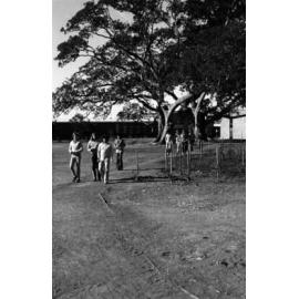 Campus scenes. n2b_27_16