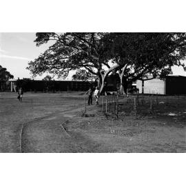 Campus scenes. n2b_27_14