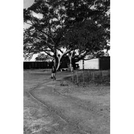 Campus scenes. n2b_27_13
