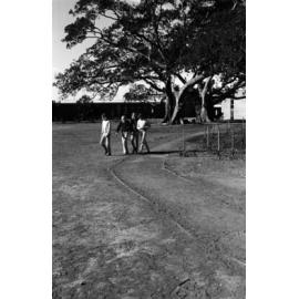 Campus scenes. n2b_27_12