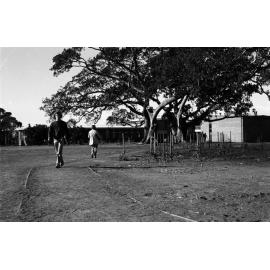 Campus scenes. n2b_27_10