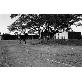 Campus scenes. n2b_27_08
