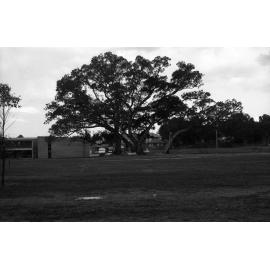 Campus scenes. n2b_24_17