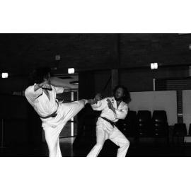 Tae Kwon Do. n2b_22_03