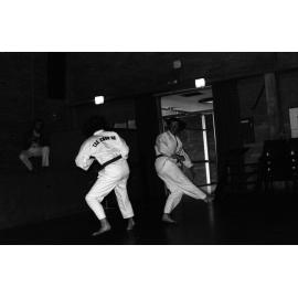 Tae Kwon Do. n2b_22_02