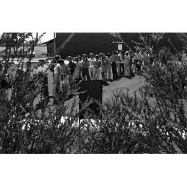 Enrolment. n2b_03_19