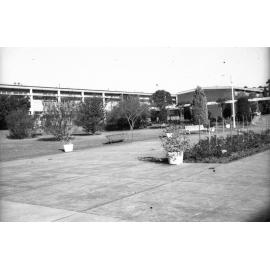 Biology and metallurgy building? n2b_55_12