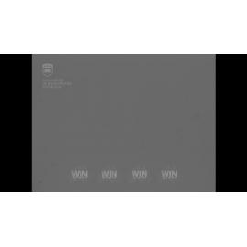 Russian guests guests of Waterside Workers Union