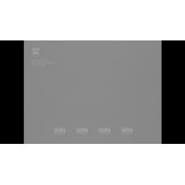 Fire in Boyne State Forrest