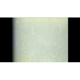 Greenacres special school in trouble