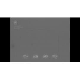 Bulli house fire in Forrest Street