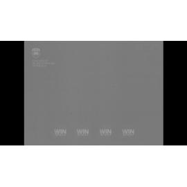 Illawarra Canoe club gets fleet of canoes