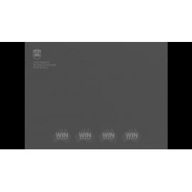 Dead fish near steelworks