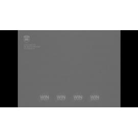 George Peterson interview