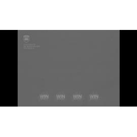 Archery in Wollongong