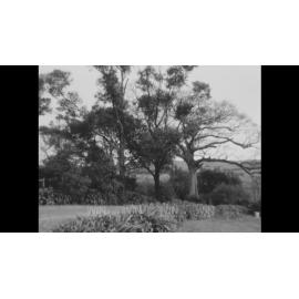 Grand old house and garden in rural setting
