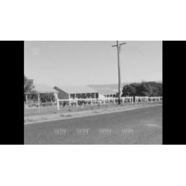 Berkeley school tree planting