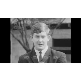 Wattle Day and horses birthday