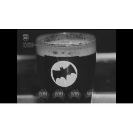 Bat flies into Gerringong Hotel