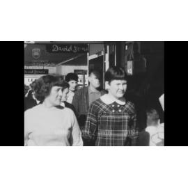 Spring in Wollongong