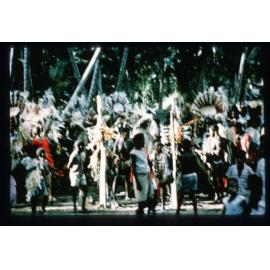 Dancers and villagers gathering for celebrations