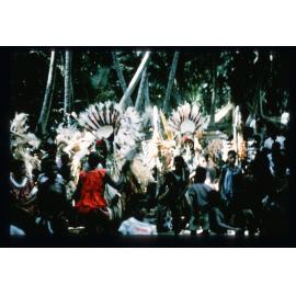 Dancers and villagers gathering for celebrations