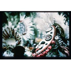 Dancers and villagers gathering for celebrations