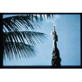 Decorated spire of Haus Tambaran