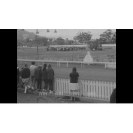 Rodeo at Slackey Flat Bulli 