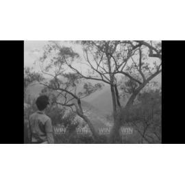 A family enjoys natural beauty at Bungonia