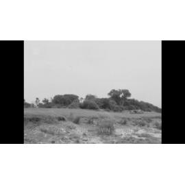 Nature reserve planned for Bass Point