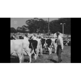 Competitions and displays at the Robertson District Show