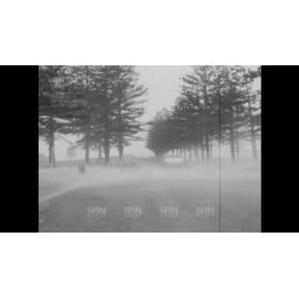 Wild, wet and windy weather in the Illawarra