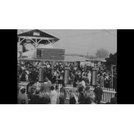 A day at Kembla Grange races