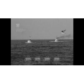 Tuna boats bring in a catch to Wollongong Harbour