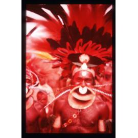 Elaborate headdress and nose decoration of male dancer