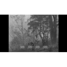 Bushfires and smoke