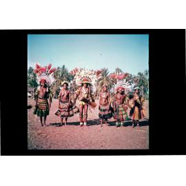Costumed dancers