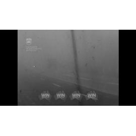 Heavy rain means fog AND Kembla Grange racecourse is sodden