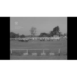 Many participants in show jumping training  and ponyriding