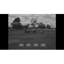 Pony club competition at Moss Vale