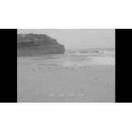 Sludge pollution has forced the closure of Austinmer beach