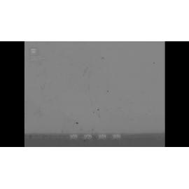 A union meeting is held in a hall in March 1969