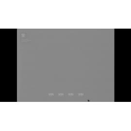 Booty recovered from the wreck of the 'Elingamite'