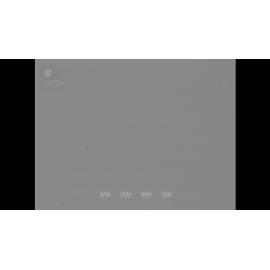 Men tour the Horlicks factory