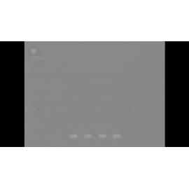 A swimming carnival at Dapto is hotly contested