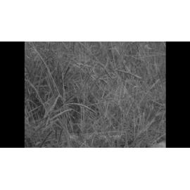 Work begins on a shopping centre at Warilla